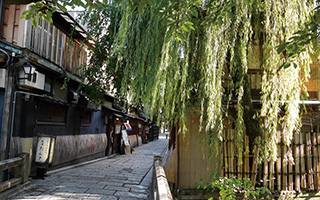 地域振興・観光活性化